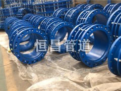 宁夏双法兰传力伸缩器DN750mm使用方法