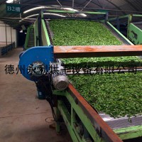 长期供应大型茶叶摊青机 网带式干燥设备