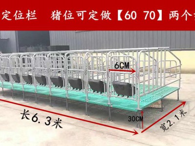 全复合母猪定位栏 限位架现货出售