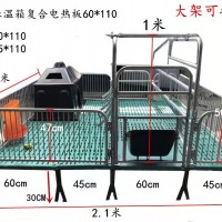 母猪产床    单体母猪分娩床现货出售