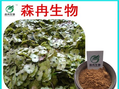 森冉生物 青钱柳提取物 摇钱树提取物 植物提取原料粉