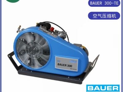 BAUER300-TE进口压缩机 德国宝华空气充气泵