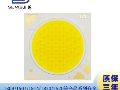 2828外形23发光面双色COB光源60W35V