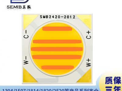 2424外形20发光面双路双色COB光源50W36V