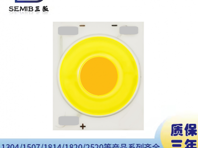 2420外形17发光面双圈双路双色12W13W