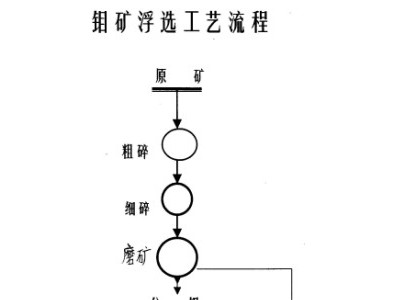 巩义铂思特低品位钼矿石选矿方法，钼尾矿中铜铁硫的综合回收