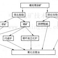 巩义铂思特氧化金矿全泥氰化炭浆工艺，金矿石选冶回收方法