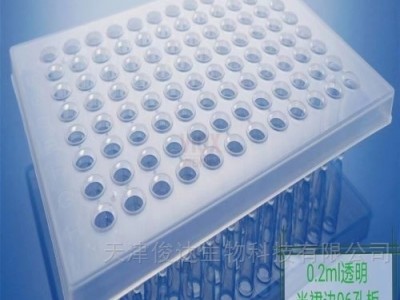 大鼠补体因子H(CFH)ELISA 试剂盒