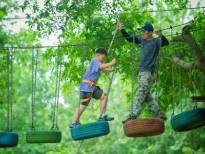 苏州青少年桐洲岛秘境探索三六六社会实践研学之旅火热报名中